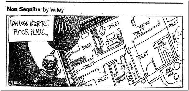 Wiley Cartoon